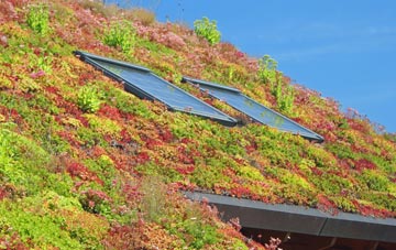 Byworth living roof systems